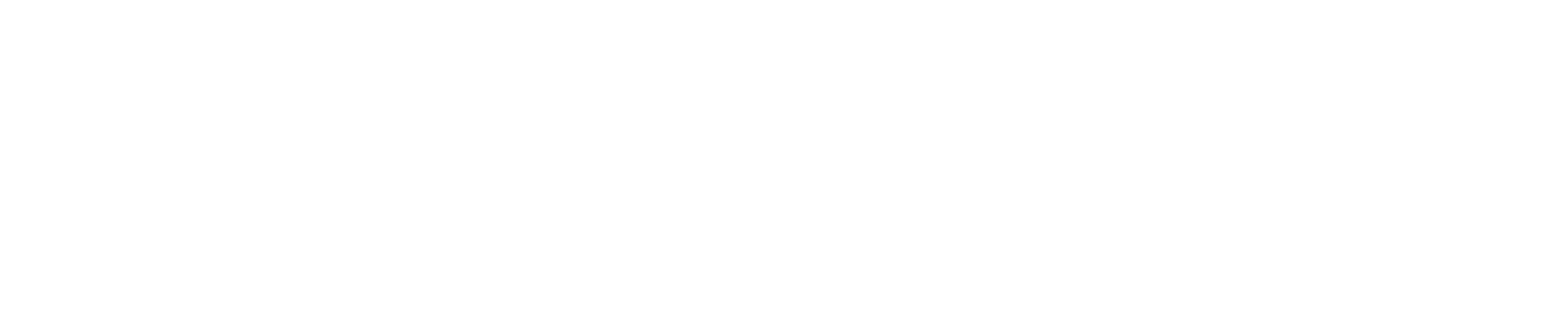 Pranala Digital Transmaritim White Logo